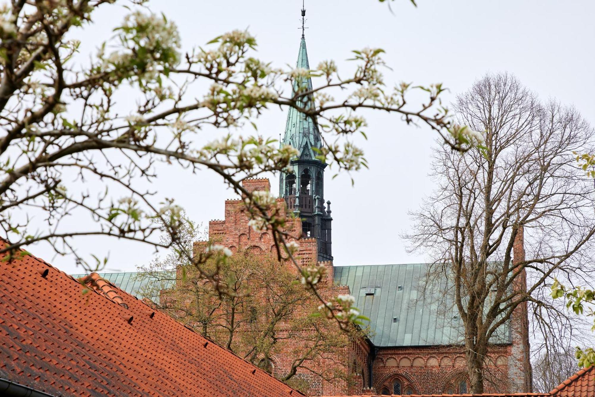 Logumkloster Refugium Exteriér fotografie